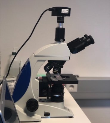 Bilden visar det mikroskop som används vid blodanalys inom Herb Pharma Naturterapi