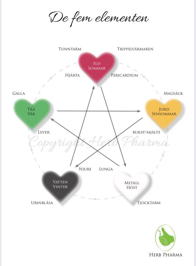 Bilden visar schematisk skiss på de fem elementen som används inom Herb Pharma Naturterapi och som grundar sig på uråldrig kinesisk medicin.